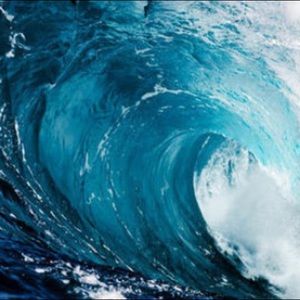 Meet your Posher, Gerald